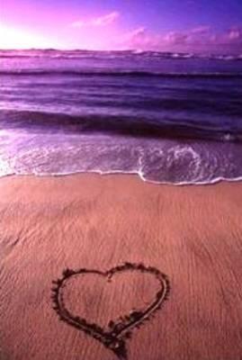 c koi l'amour??????,